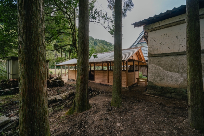 Umagoya Stable | 2M26