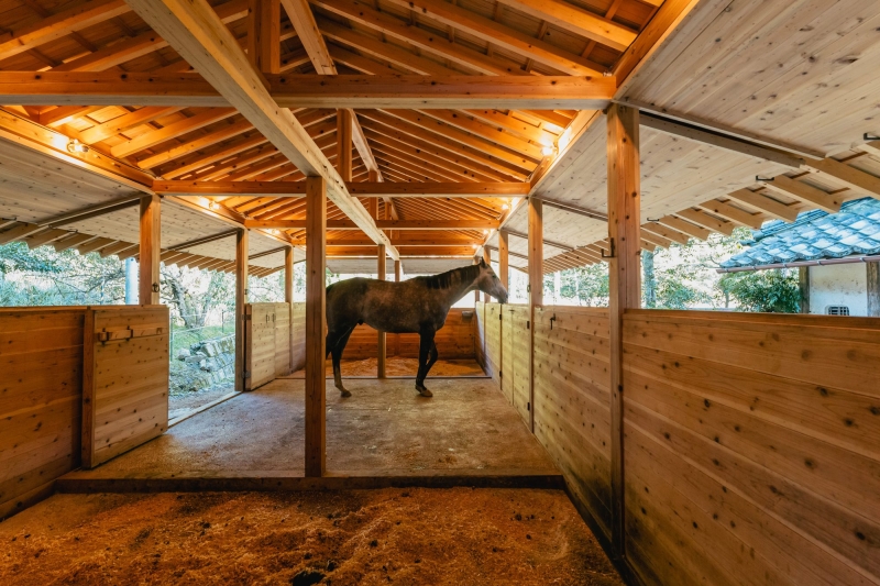 Umagoya Stable | 2M26
