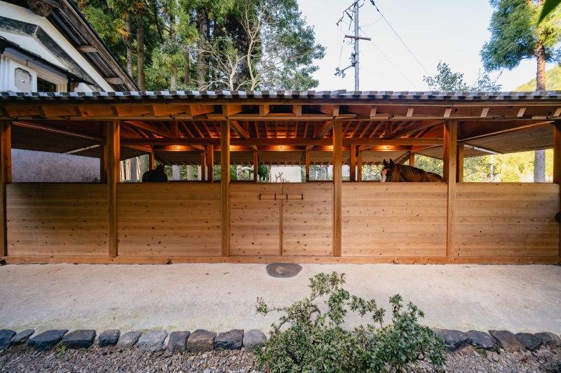 Umagoya Stable | 2M26