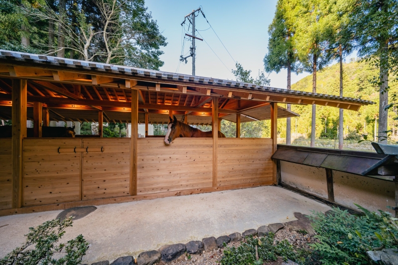 Umagoya Stable | 2M26