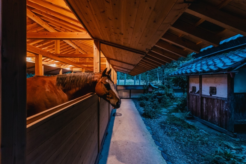 Umagoya Stable | 2M26