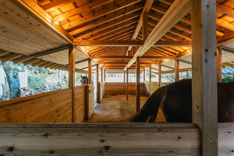 Umagoya Stable | 2M26