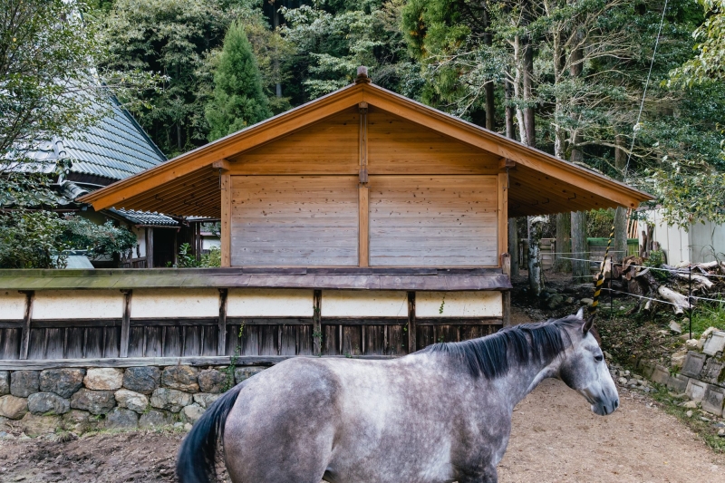 Umagoya Stable | 2M26