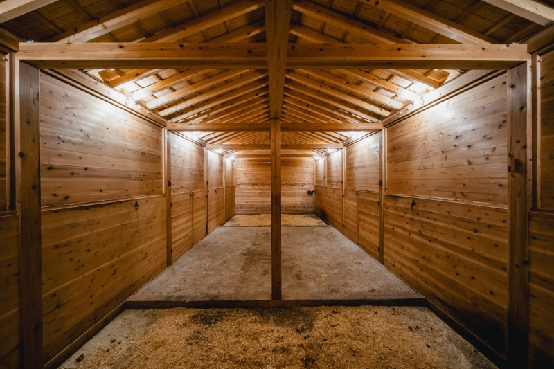 Umagoya Stable | 2M26