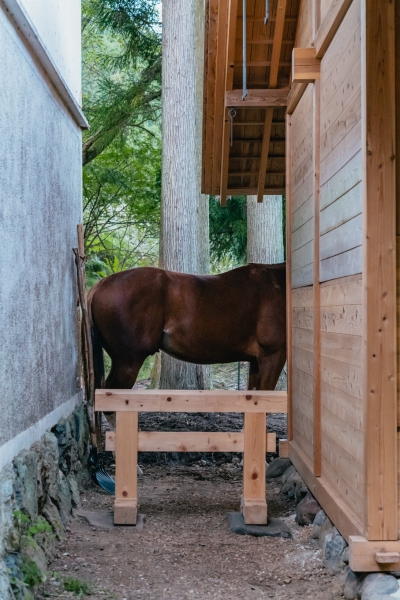 Umagoya Stable | 2M26