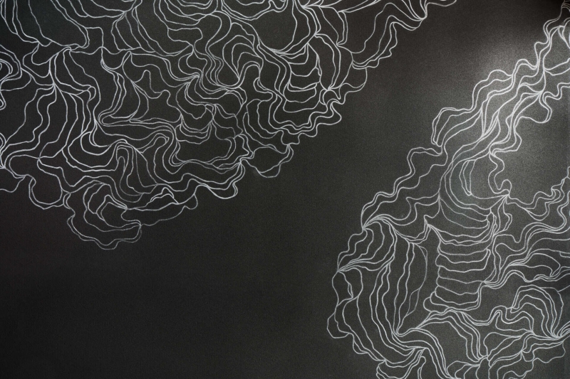 Why This Contemporary Home Let Color, Not Walls, Define the Space