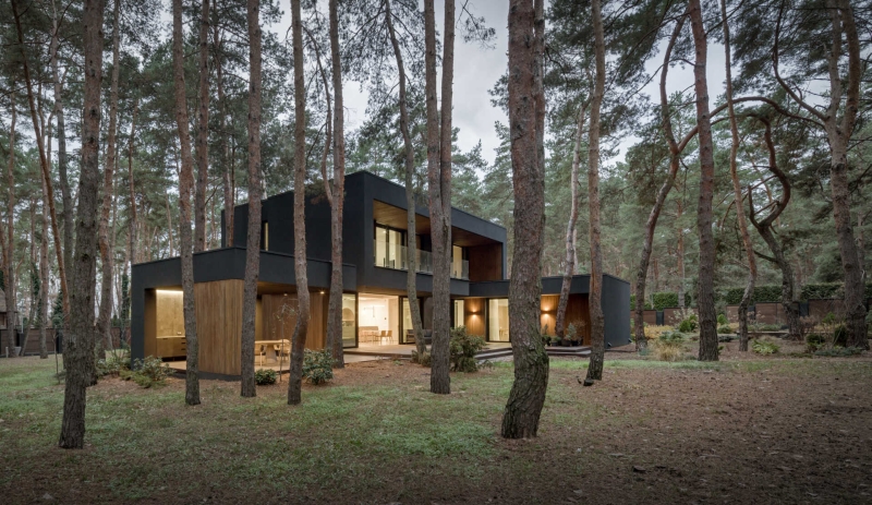 A House Built for Quiet Living in the Forest