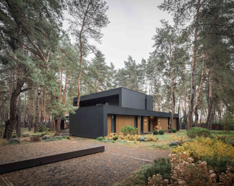 A House Built for Quiet Living in the Forest