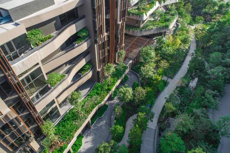 Jin Wellbeing County | Shma Company Limited