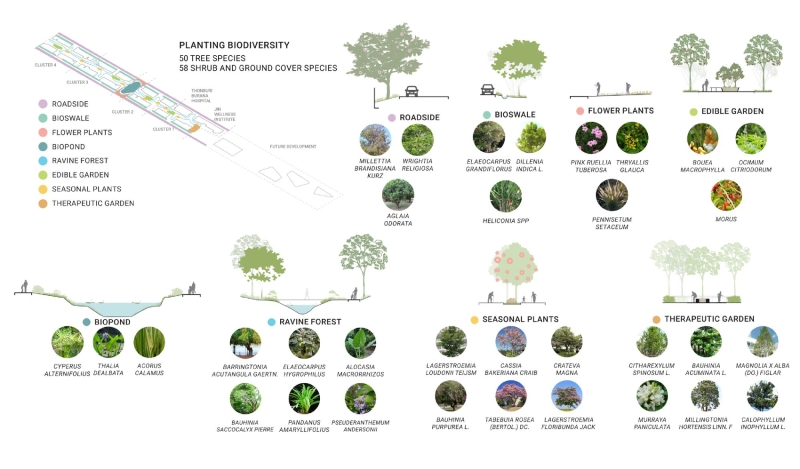 Jin Wellbeing County | Shma Company Limited