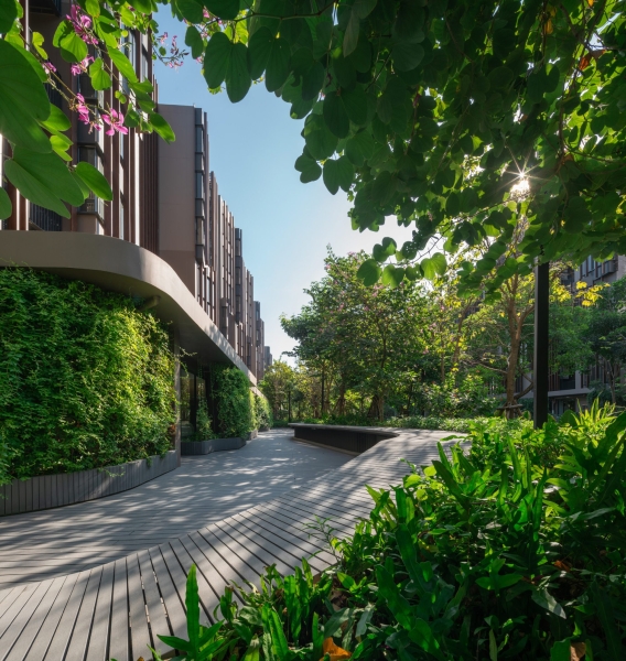 Jin Wellbeing County | Shma Company Limited