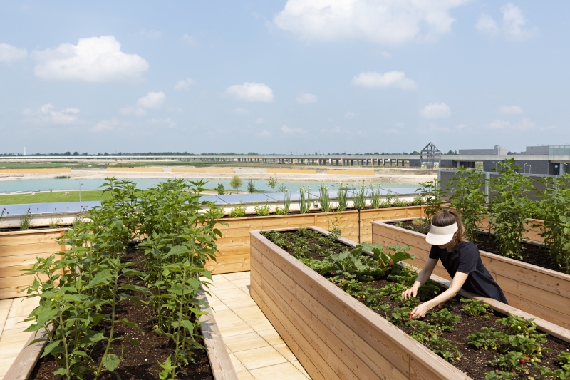 Living Garden Apartments | Martin Mostb&ouml;ck + Pesendorfer | Machalek Architects